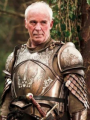 Ser Barristan Selmy 