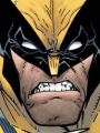 36 Wolverine (PNJ)