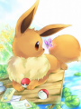 1- Eevee