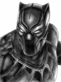 ZZZ. Black Panther (jilokasin)