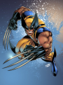 ZZZ. Wolverine (ORKbcn)
