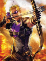 ZZZ. Hawkeye (Erty2)