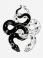 Nessie