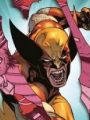 Wolverine