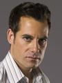 Nathan Petrelli