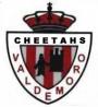 Valdemoro Cheetahs