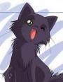 Neko