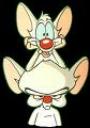 Pinky y Cerebro