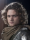 Sir Loras Tyrell (Caballero de la Rosa)