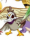 DUX