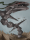 Solid Snake (AAJRR RRR)