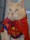 Supergato