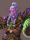 Davmorn Moonwhisper