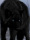 Loba