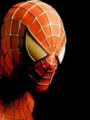 Spiderman (alter ego de Peter Parker)