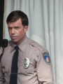 Subjefe David Hale (policía de Charming, California)