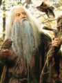 Radagast el Pardo