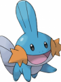 Mudkip