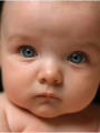 Bebé