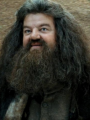 Rubeus Hagrid