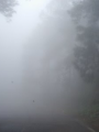 Niebla
