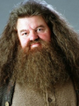 Rubeus Hagrid