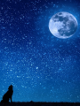      Luna Llena
