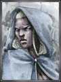 Elfo Nocturno