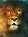 Aslan