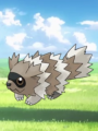 Zigzagoon