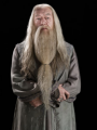 Albus Dumbledore