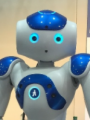 Robot de Mantenimiento 1