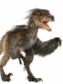 Dracoraptor 1