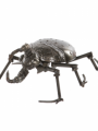 Escarabajo Metálico