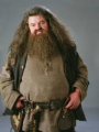 Hagrid