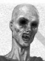 Thascius hostilinus