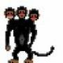 Mono de Tres Cabezas