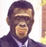 Sr. Bonobo
