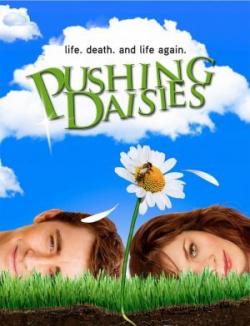 Criando Malvas (Pushing Daisies)