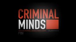 Mentes criminales (criminal minds)