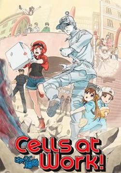 Hataraku Saibou (Cells at work)