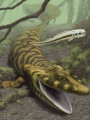 Tiktaalik