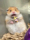 Hyuu